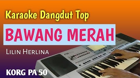 BAWANG MERAH - Lilin Herlina - Karaoke Dangdut Top