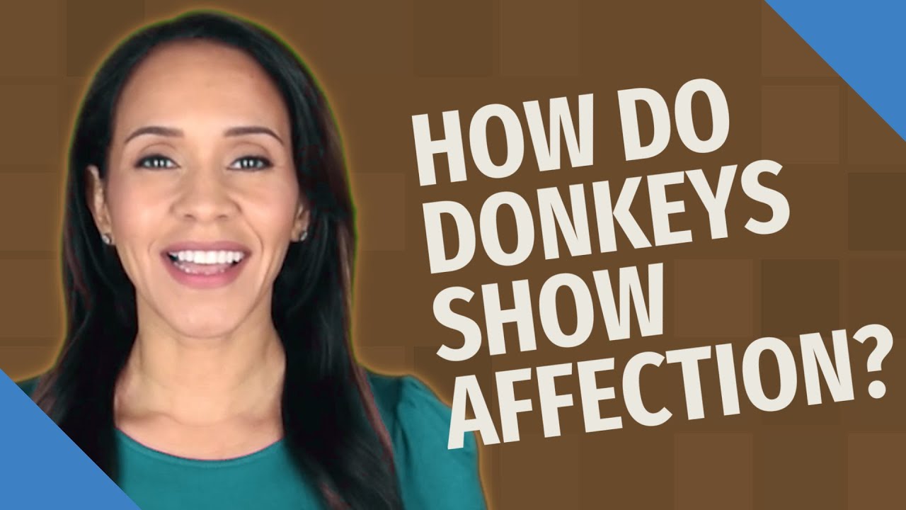 How Do Donkeys Show Affection?