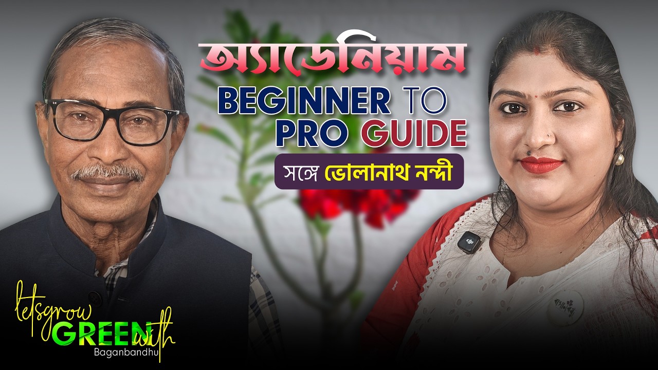 অ্যাডেনিয়াম | Beginner to Pro Guide | Baganbandhu