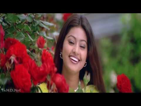 aaha-enpargal-dvdrip-vaseegara-hd