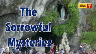 The Sorrowful Mysteries | Rosary from Lourdes Grotto | English Rosary |Holy Cross Tv |Lourdes Rosary