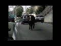 Cows block highway