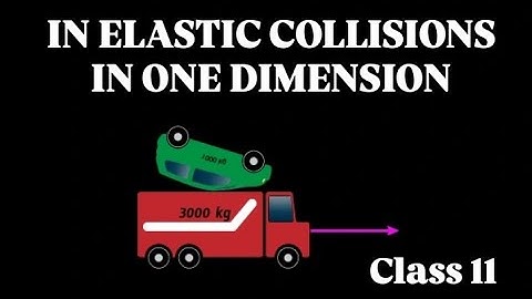 Inelastic collisions in One Dimension | New Syllabus 2025 |Chapter 2 | Class 11 🏀By Grip on Physics