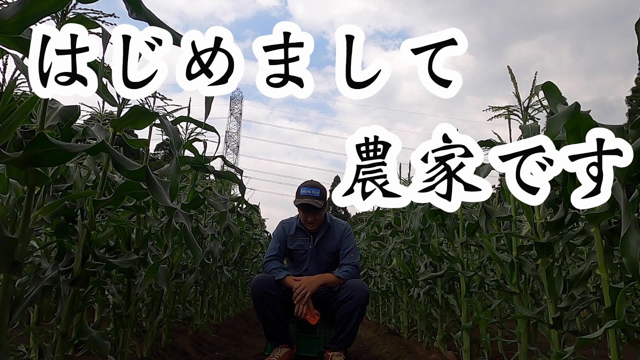 藁の便利な使い方 Youtube