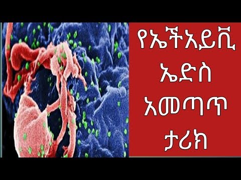 ቪዲዮ: በአሁኑ ጊዜ የያሁ ዋና ሥራ አስፈፃሚ ማነው?