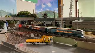 E261系「サフィール踊り子」2024-10