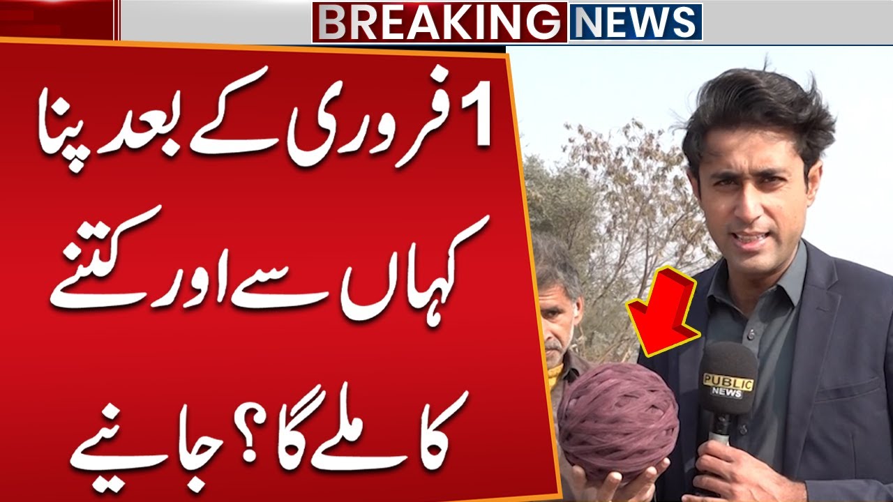 Basant Festival Returns to Lahore | Where to Buy Kites After Feb 1 & At What Price?