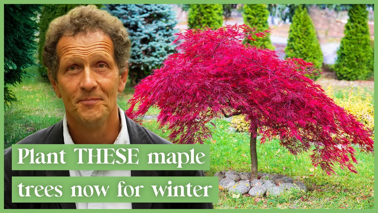 Monty Don's Guide To Fall Gardening Preparation! | Gardener's World