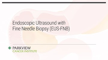 EUS-FNB (Endoscopic Ultrasound with Fine Needle Biopsy) Animation
