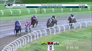 Vidéo de la course PMU PREMIO NORAN NABI 2016