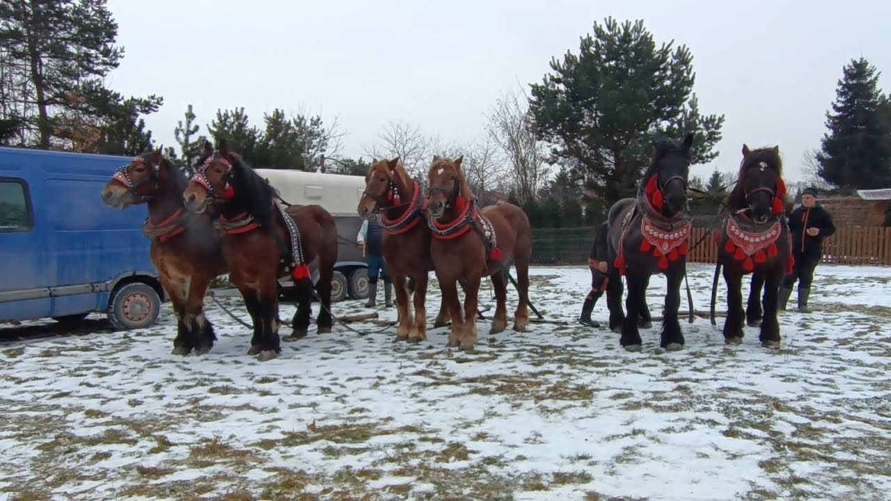 Wegierska Gorka 1.02.2026 Краса неймовірна 