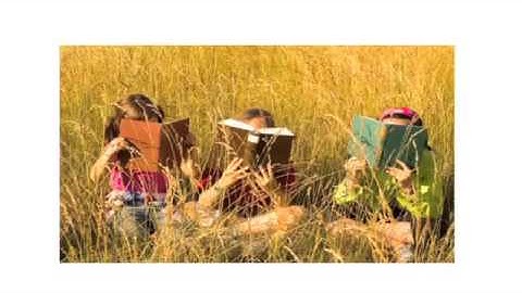 Digital Library Collections: Opportunities & Challenges