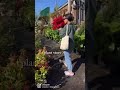 🍃When in plant store🍃 #loveplantstore#plantstore#heaven