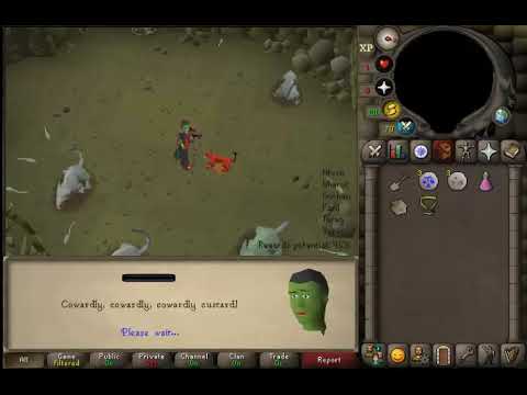 Oldschool Runescape - My cat killed me!!!