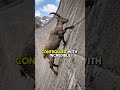 The Reason Ibex Never Fall🐐 | The Perfect Hoof Explained | Ibex Survival