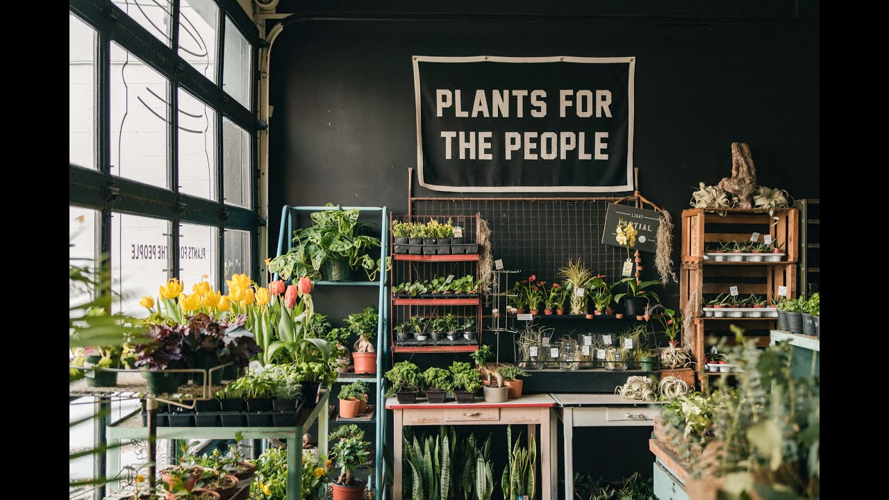 Plant & Neo — Calgary