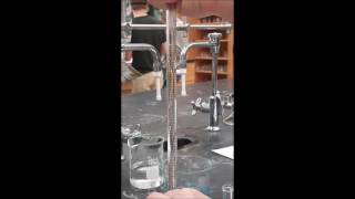 Final Dilution Lab Video UAB CH-116-1C