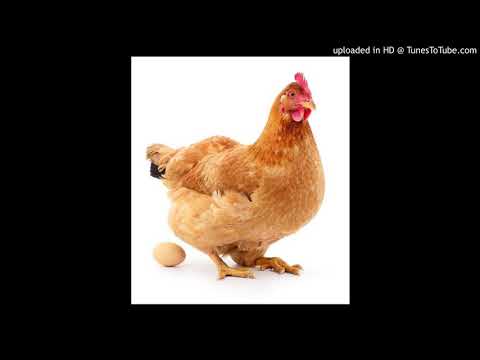 ნარკომანი მამალი:ეძღვნება ყველა დედალს