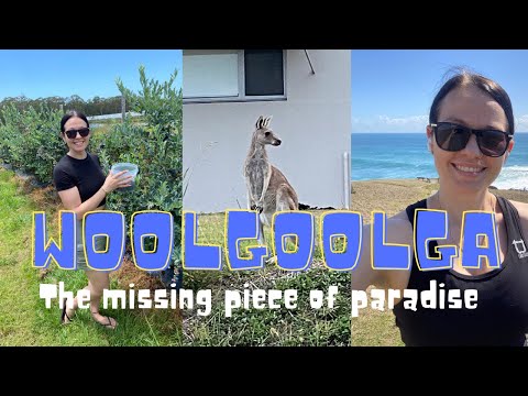 WOOLGOOLGA - The Missing Piece Of Paradise 🏖️🌺😍 | #AUSTRALIA VLOG #8 | Foreigner (Not) In India 🤭