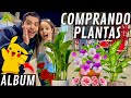 Álbum Pokémon | GASTANDO na Feira de Flores do Ceagesp | COMO VOU LEVAR TUDO ISSO ? | Aves Recriar