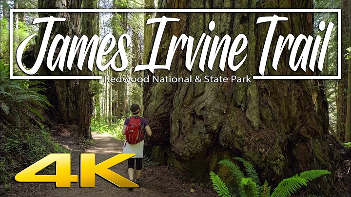 Redwood National Park virtual walk 4K | James Irvi...
