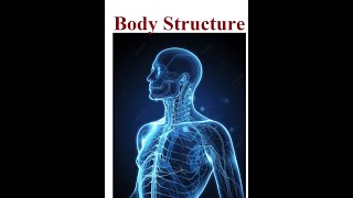 The Amazing Human Body | A Complex Machine | 2024