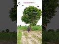 farmer technology shorts hunting eagle 🦅🦅🏹🏹🏹