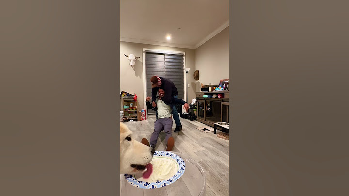 My dog loyalty is proven #dog #dogshorts #funny #funnyvideo #shorts #shortsvideo