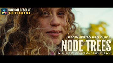 Node Trees Simplified: Build Like a Pro in Davinci Resolve #Tutorial