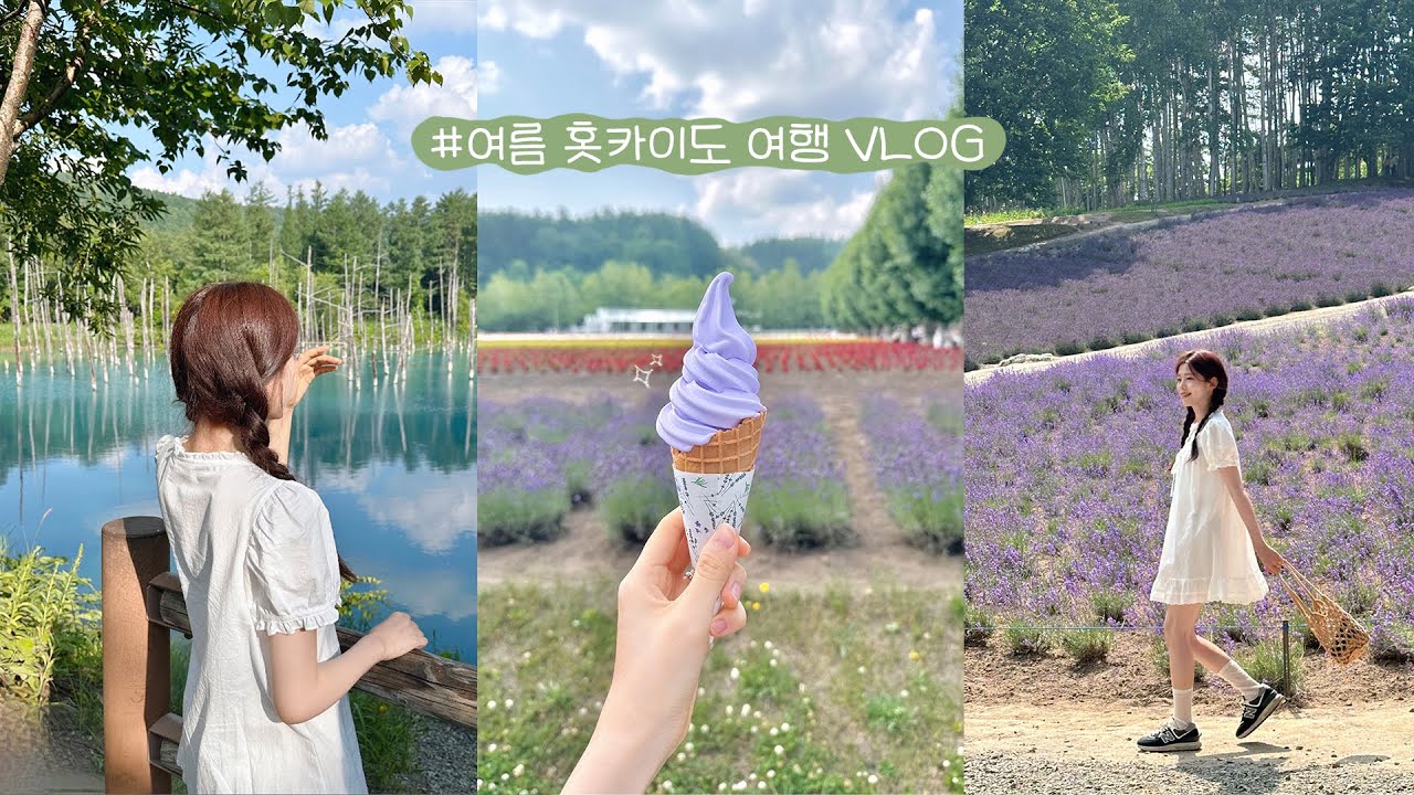 동화같은 3박4일 여름 삿포로 여행VLOG🪻🫧렌트여행 코스추천!  후라노, 팜토미타, 청의호수, 치즈공방