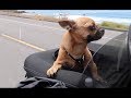 Riding the PCH / Dream Motorcycle trips