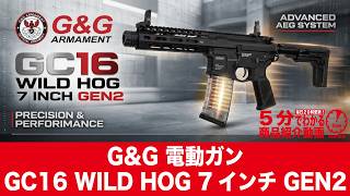 Scheduled for release on August 28, 2026] G&G AEG GC16 WILD HOG 7