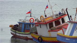 Pescadores en la región de los Lagos llaman a regular pesqueria.