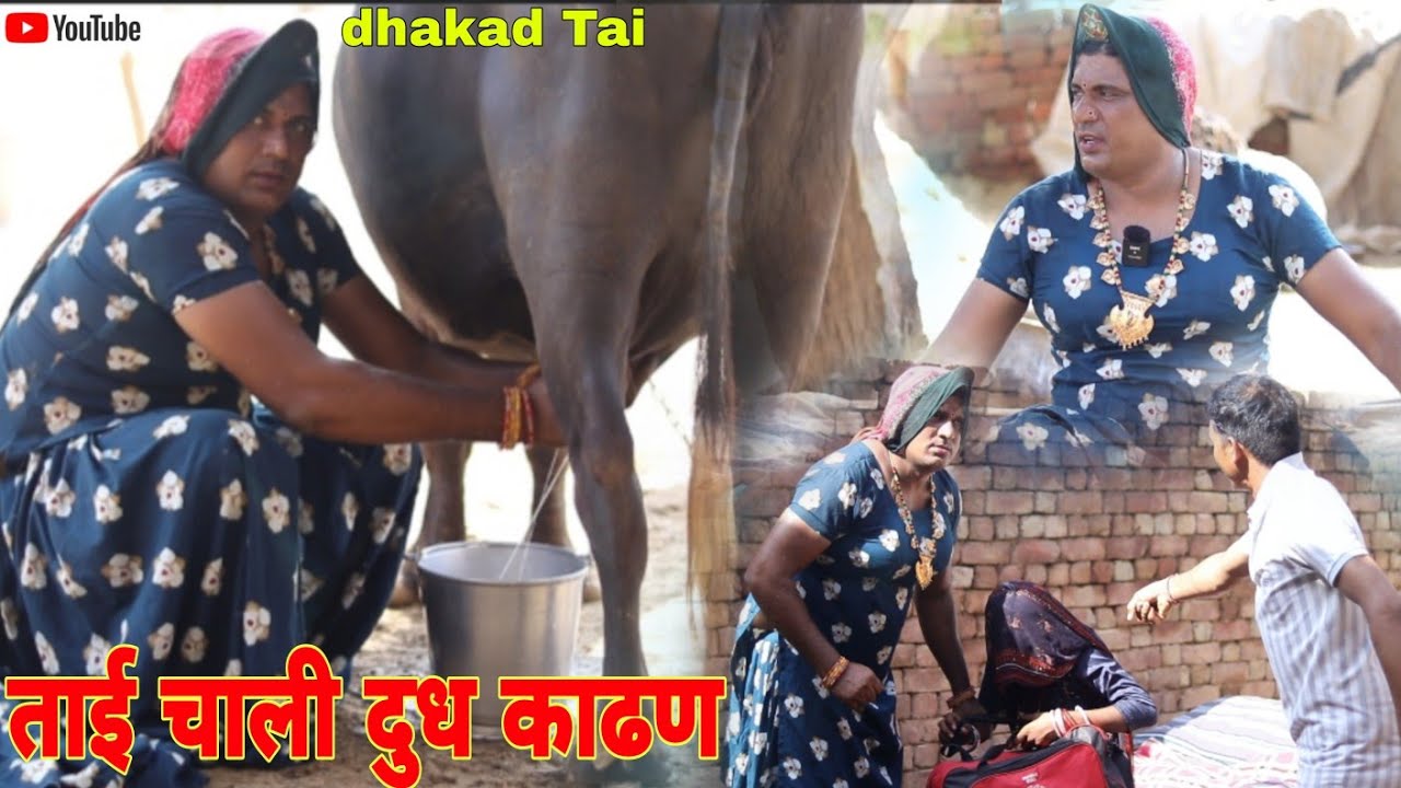 ताई चाली दुध काढण ll हरियाणवी राजस्थानी कोमेडी नाटक धाकड़ ताई @DhakadTai