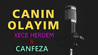 Xece Herdem ft. Canfeza - Canın Olayım (mix) Resimi