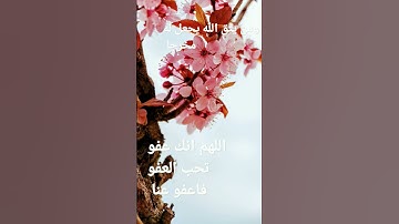 القرآن الكريم/سورة الاحزاب بصوت الحاج عامر الكاظمي/اللهم صل وسلم على نبينا محمد ( السلام عليكم )