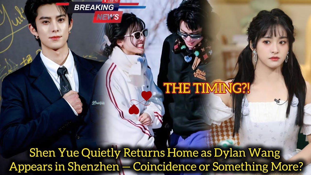 Shen Yue Quietly Returns Home as Dylan Wang Appears in Shenzhen — Coincidence or Something More?
