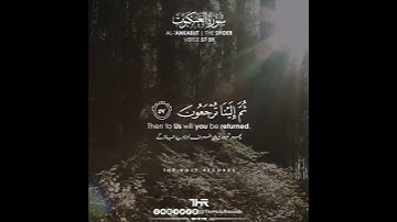 Surah Al-Ankabut - سورة العنكبوت  - Abdul Rahman Mossad عبدالرحمن مسعد - The Holy Records