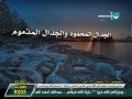 الجدال المحمود والجدال المذموم الشيخ محمد سعيد رسلان 
