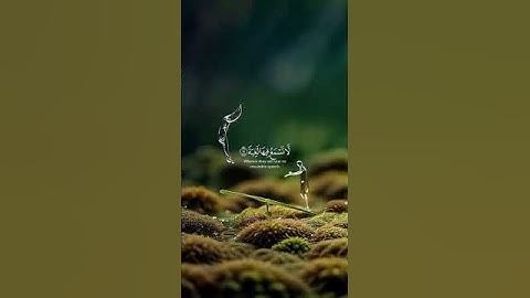 قرأن كريم بصوت القارئ شيخ عبد الرحمان مسعد #coran #اكسبلور #المصحف #قرآن #لايك #الرحمن #falastine