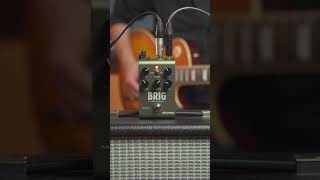 Deep Ambient Sound with the Strymon Brig Delay #shorts