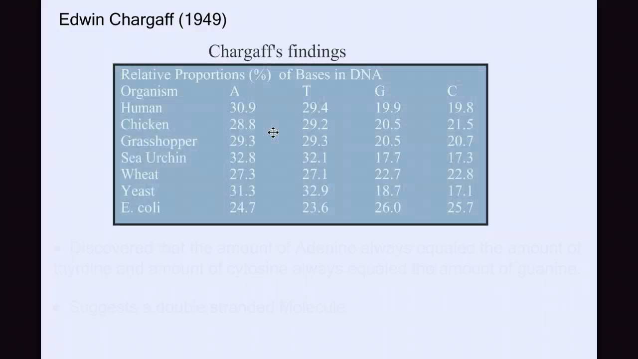History of DNA