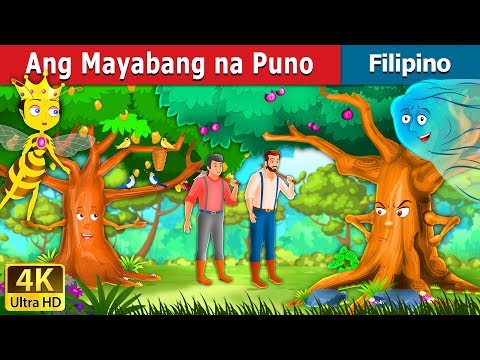 Video: Sumpain na puno ng mga butas