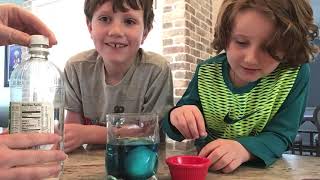 Bouncy Egg Experiment Part 1