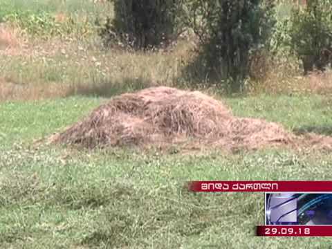 სოფელ ხურვალეთთან ე წ  მესაზღვრეებმა 37 წლის მაია ოთინაშვილი გაიტაცეს