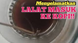 MENYELAMATKAN LALAT MASUK KOPI || HUKUM LALAT MASUK MINUMAN