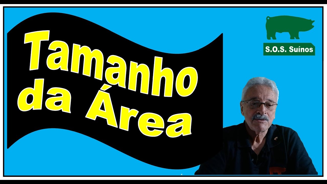 SUINOCULTURA: Tamanho da Área para Criação de Suínos
