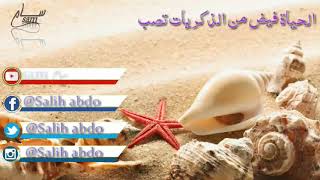 اجمل عبارات عن البحر || حالات وات ساب ||