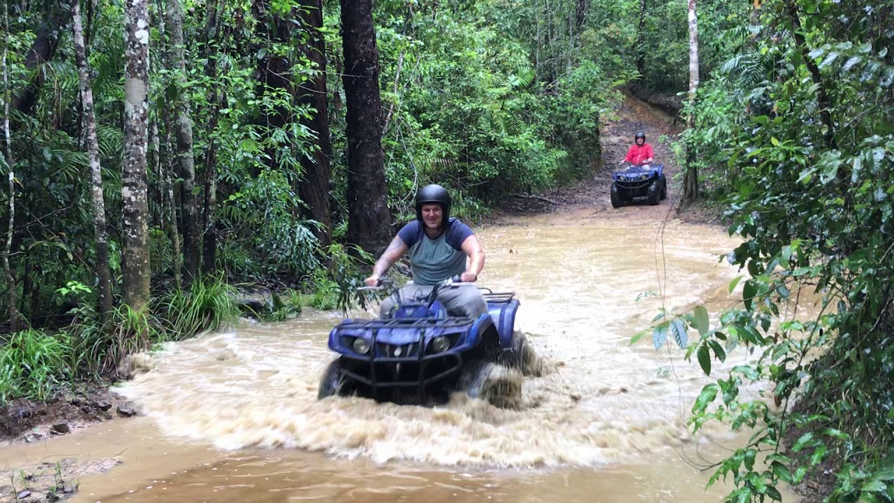 Cairns Quads bike tour in the Rainforest YouTube