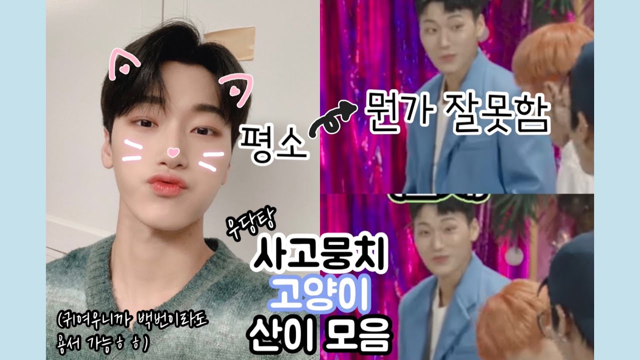 [에이티즈(ATEEZ)/최산/산] 우당탕 사고뭉치 아기고양이 사니 모음